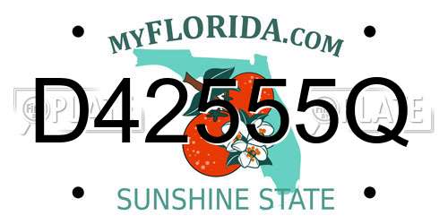 D42555Q Florida License Plate