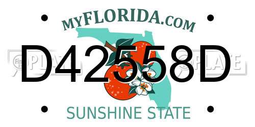 D42558D Florida License Plate