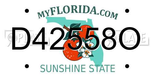 D42558O Florida License Plate