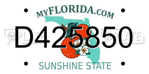 D425850 Florida License Plate