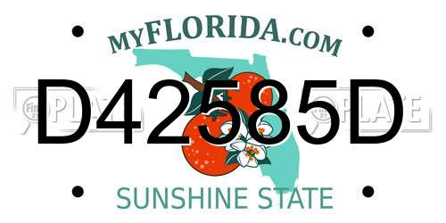 D42585D Florida License Plate