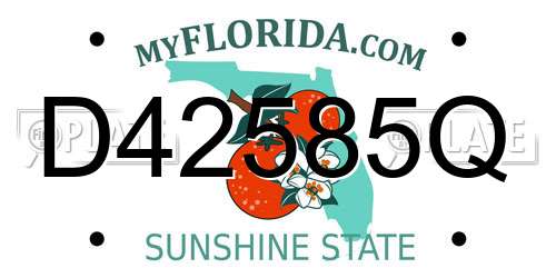 D42585Q Florida License Plate