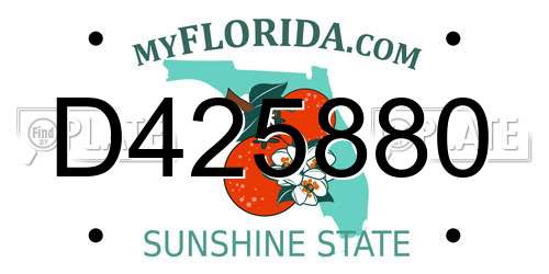D425880 Florida License Plate