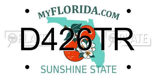 D426TR Florida License Plate