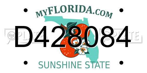 D428084 Florida License Plate