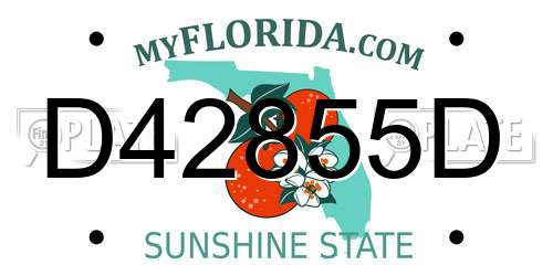 D42855D Florida License Plate