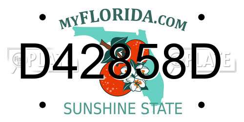 D42858D Florida License Plate