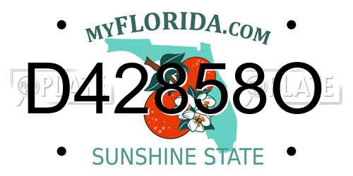 D42858O Florida License Plate