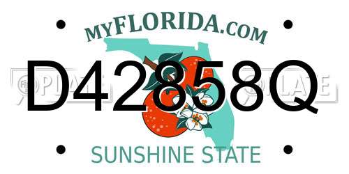 D42858Q Florida License Plate
