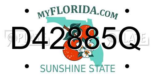D42885Q Florida License Plate