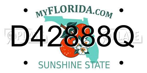 D42888Q Florida License Plate