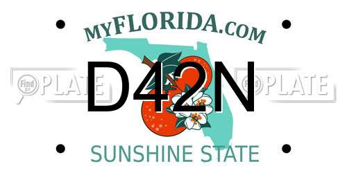 D42N Florida License Plate