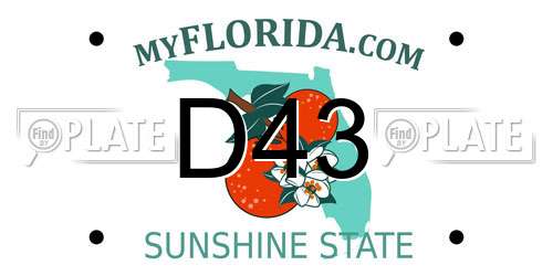 D43 Florida License Plate