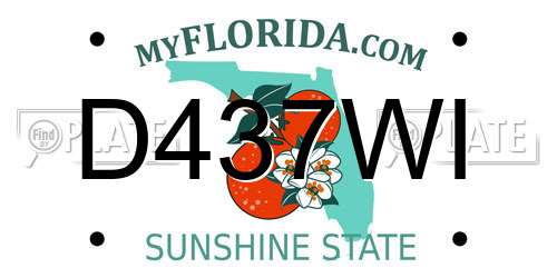 D437WI Florida License Plate