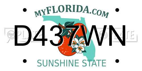 D437WN Florida License Plate