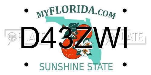 D43ZWI Florida License Plate
