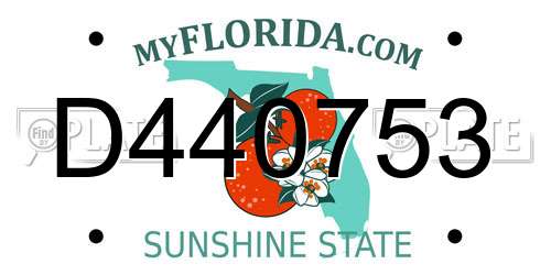 D440753 Florida License Plate