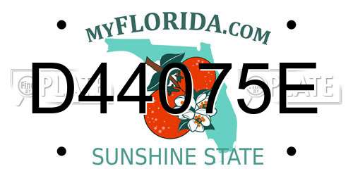 D44075E Florida License Plate