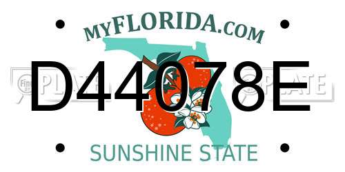 D44078E Florida License Plate
