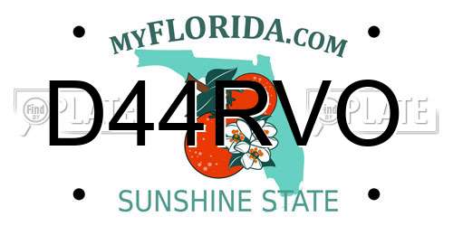 D44RVO Florida License Plate
