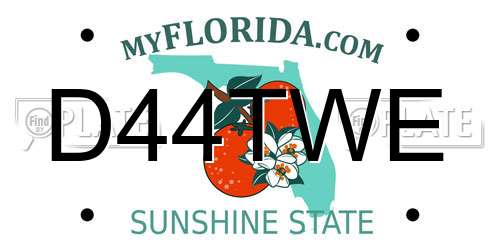 D44TWE Florida License Plate