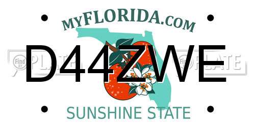D44ZWE Florida License Plate
