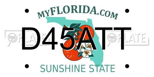 D45ATT Florida License Plate
