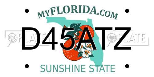 D45ATZ Florida License Plate