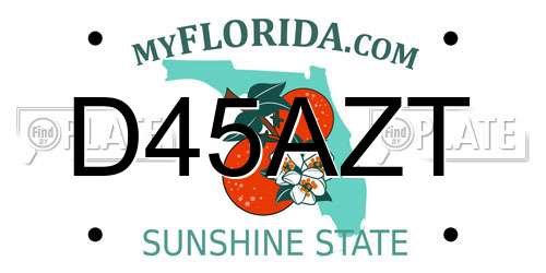 D45AZT Florida License Plate