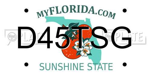 D45TSG Florida License Plate