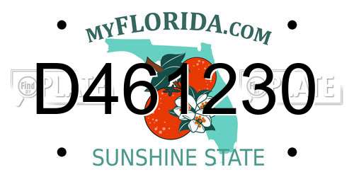 D461230 Florida License Plate