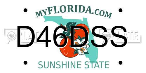 D46DSS Florida License Plate