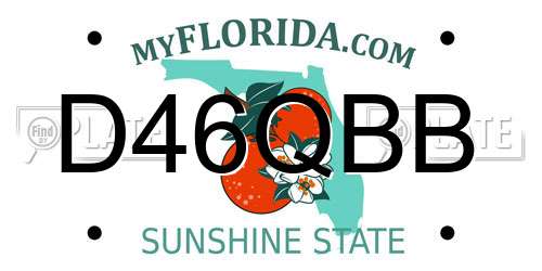 D46QBB Florida License Plate