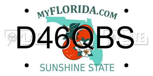 D46QBS Florida License Plate