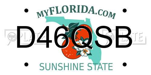 D46QSB Florida License Plate