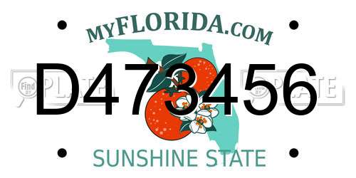 D473456 Florida License Plate