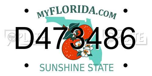 D473486 Florida License Plate