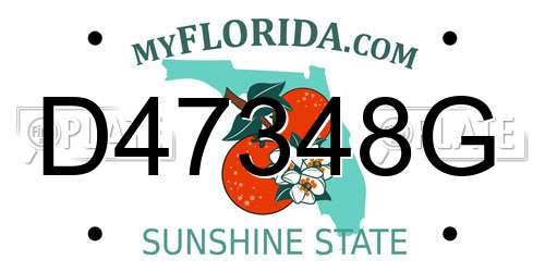 D47348G Florida License Plate