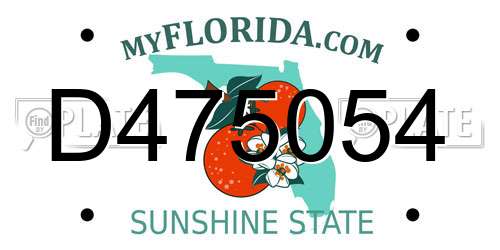 D475054 Florida License Plate