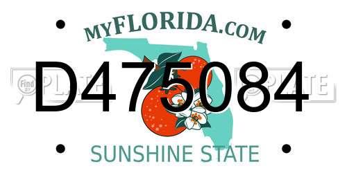 D475084 Florida License Plate
