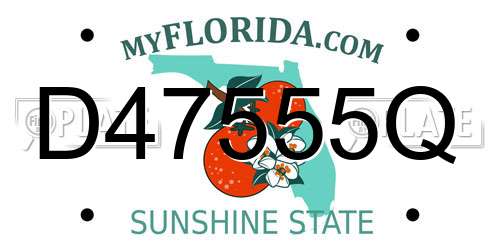 D47555Q Florida License Plate