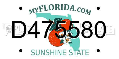 D475580 Florida License Plate