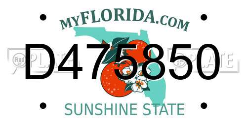 D475850 Florida License Plate