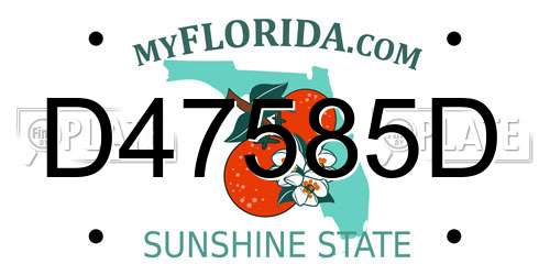 D47585D Florida License Plate