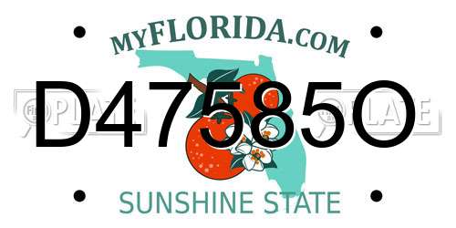 D47585O Florida License Plate