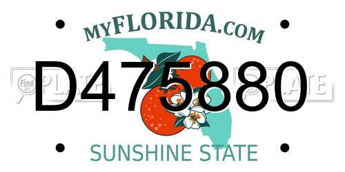 D475880 Florida License Plate