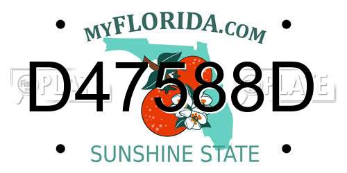 D47588D Florida License Plate
