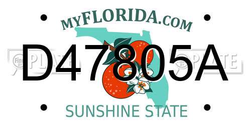 D47805A Florida License Plate