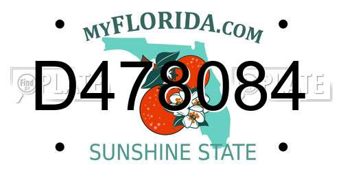 D478084 Florida License Plate