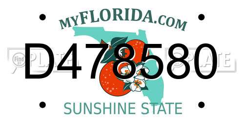 D478580 Florida License Plate